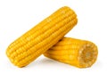 Two boiled corn on a white background, isolated. Royalty Free Stock Photo