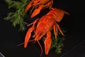Boiled crayfish on a black plate Royalty Free Stock Photo