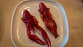 Two boiled crayfish on a white plate Royalty Free Stock Photo