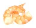 Two boiled shrimp Royalty Free Stock Photo