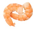 Two boiled shrimp Royalty Free Stock Photo