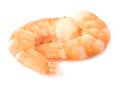 Two boiled shrimp Royalty Free Stock Photo