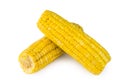 Two boiled sweet corn on cob Royalty Free Stock Photo
