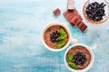 Two boils with Chia seed pudding with berries and carob Royalty Free Stock Photo