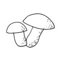 Two boletus mushrooms sketch hand drawn doodle. single element for design card, icon, poster, , monochrome, minimalism. nature, Royalty Free Stock Photo