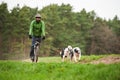 Two border collies in front of a dog scooter