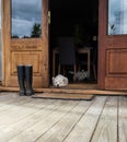 Two bored westies inside a farmhouse, laying on the floor by a d