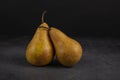 Two Bosc Pears Leaning Against Each Other #1