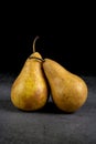 Two Bosc Pears Leaning Against Each Other #2