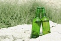 Two bottle of light beer on the rocks.Empty space.Relaxing and cold drinks Royalty Free Stock Photo