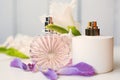 Two bottle of perfume Royalty Free Stock Photo