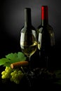 Two bottle of red and white wine Royalty Free Stock Photo