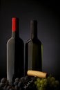 Two bottle of red and white wine Royalty Free Stock Photo