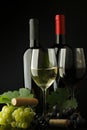 Two bottle of red and white wine Royalty Free Stock Photo