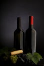 Two bottle of red and white wine Royalty Free Stock Photo
