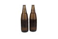 Two bottles beer Royalty Free Stock Photo