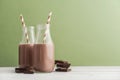 Two bottles chocolate milk Royalty Free Stock Photo