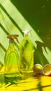 Two bottles of cleaning spray and lemon slices Royalty Free Stock Photo