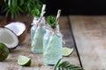 Two bottles of coconut water with mint and lime on a wooden table. Vegetarian drink. Mojito. Copy space Royalty Free Stock Photo