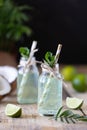 Two bottles of coconut water with mint and lime on a wooden table. Vegetarian drink. Mojito. Copy space Royalty Free Stock Photo