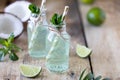 Two bottles of coconut water with mint and lime on a wooden table. Vegetarian drink. Mojito. Copy space Royalty Free Stock Photo