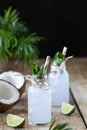 Two bottles of coconut water on a wooden table Royalty Free Stock Photo