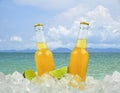 Two bottles of cold beer on ice over sea