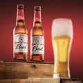 Two bottles of cold Budweiser beer and a glass of beer on a red background, the legendary American beer