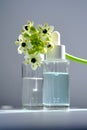 Two bottles with a dropper with spring flowers. Royalty Free Stock Photo