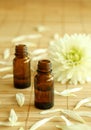 Two bottles of essence oil and chrysanthemum. Royalty Free Stock Photo