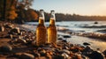 Two bottles of fresh beer on a pebble beach on sunny summer evening. Beer on a background of Baltic sea. Drinking alcoholic