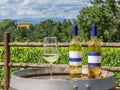 Two bottles and a glass of white wine on a wooden barrel with the Tuscan countryside in the background, Italy, on a sunny day Royalty Free Stock Photo