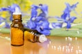 Two bottles with homeopathy globules and flowers Royalty Free Stock Photo