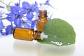 Two bottles with homeopathy globules Royalty Free Stock Photo