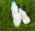 Two bottles milk and in glass on background green grass. Royalty Free Stock Photo