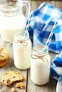 Two bottles of milk Royalty Free Stock Photo