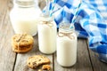 Two bottles of milk Royalty Free Stock Photo