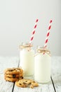 Two bottles of milk with striped straws and cookies on the white wooden background Royalty Free Stock Photo