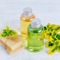 Two bottles of natural hair shampoo and handmade organic hair soap bar with plants Royalty Free Stock Photo