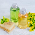 Two bottles of natural hair shampoo and handmade organic hair soap bar with plants Royalty Free Stock Photo