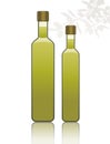 Two bottles of olive oil isolated on white background and shadow of olive branches