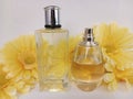 Two bottles of perfume with yellow daisies on a white background Royalty Free Stock Photo