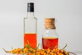 Two bottles of sea buckthorn oil and a bush of fresh sea buckthorn berries on a white background