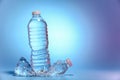 Two bottles of water Royalty Free Stock Photo
