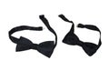 Two Bow Ties Royalty Free Stock Photo