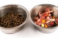 Two bowls with dog food, processed and natural stuff. Comparing of different kind of diet.
