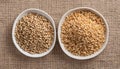 Two bowls of grains on a table Royalty Free Stock Photo