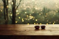 two bowls sit on a table in front of a blurry background of trees and lights in the distance Royalty Free Stock Photo