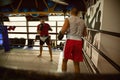 Two Boxers At Training Royalty Free Stock Photo