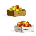 Two boxes of apples